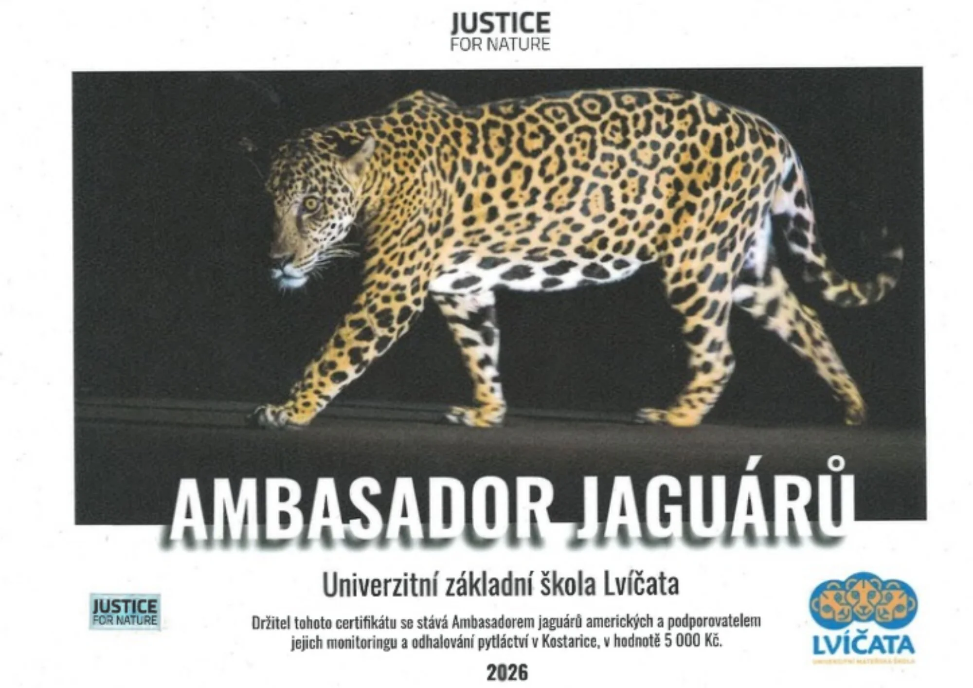 Certifikát Ambasador Jaguárů - UZŠ Lvíčata